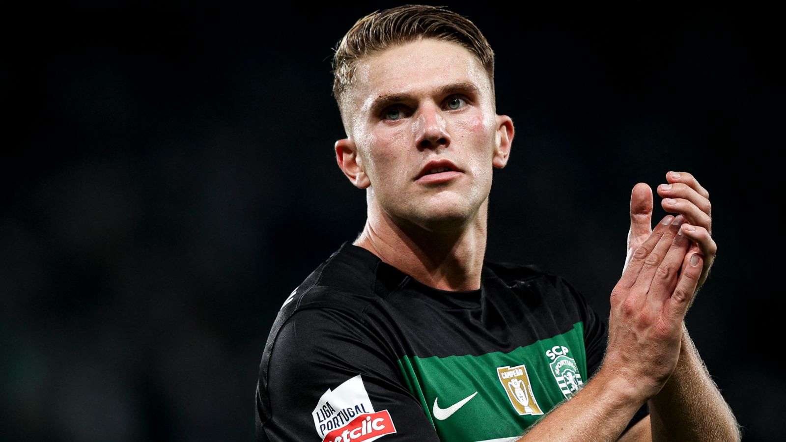 迷不仅仅是 迷不仅仅是